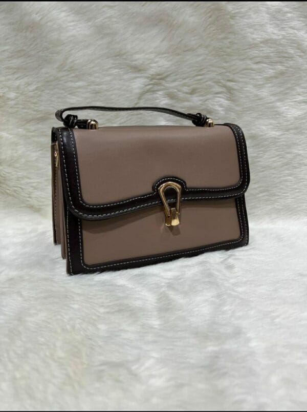 Imported Cross Body Women's Bag