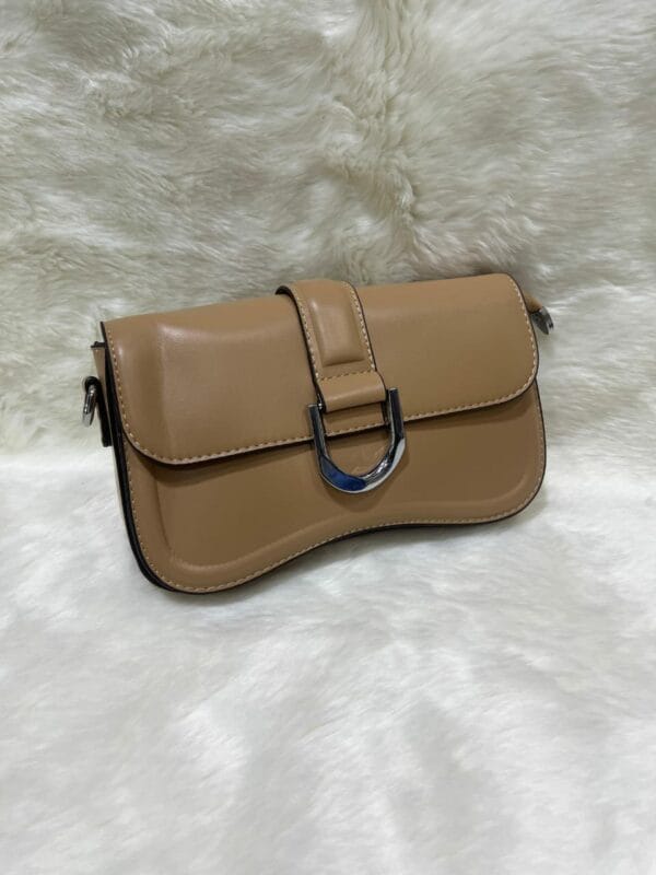 Imported Ladies Hand Carry